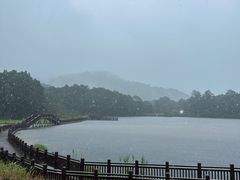-海南热带雨林国家公园吊罗山景区