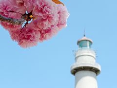 -悦海公园