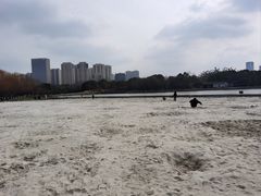 -滨湖塘西河公园