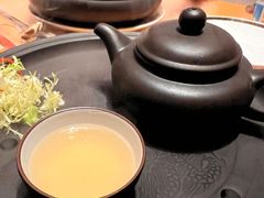 -广州富力君悦大酒店空中花园