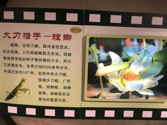 -上海昆虫博物馆