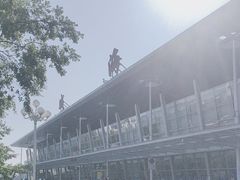 -威海大水泊国际机场