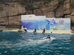-杭州长乔极地海洋公园