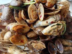 -港畔赶海蒸汽海鲜烧烤自助(仙螺岛店)