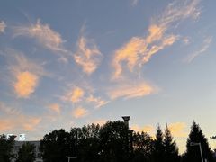 -特克斯八卦城