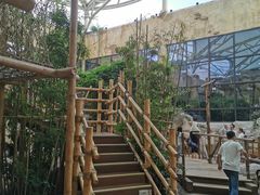 -杭州开元森泊度假乐园