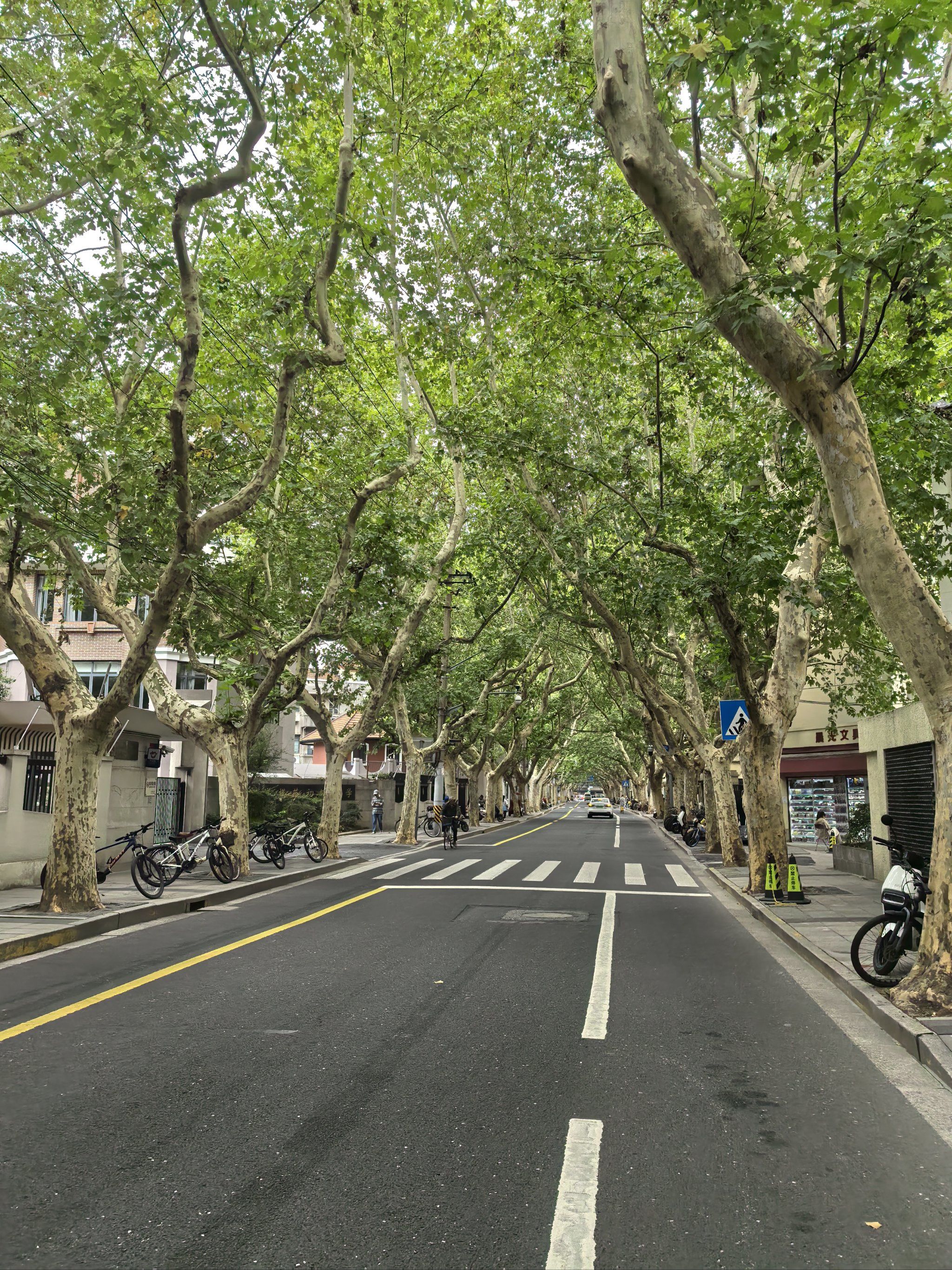 天平路,是武康路的分路