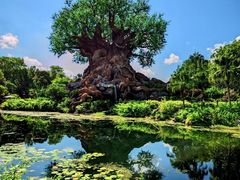 -奥兰多迪士尼动物王国乐园