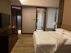 -扬州绿地铂骊酒店