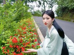 -白云山风景名胜区