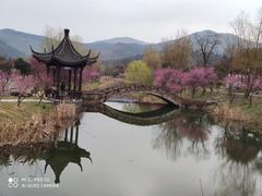-石塘人家