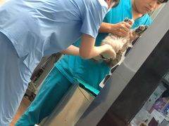 -荔康动物医院(康王北路店)