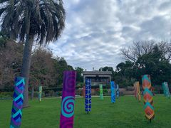 -墨尔本皇家植物园