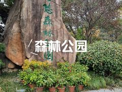 -昆山城市生态森林公园