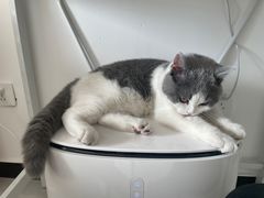 -北京恒爱动物医院(清景园分院)