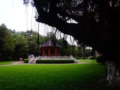 惺亭-中山大学学者灵芝(园南路店)