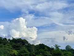 -广州市白云山风景名胜区