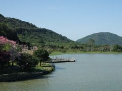 景点-风云岭森林公园