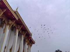 -洛阳白马寺