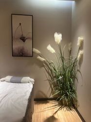 -阅年轻·AI家庭健康体质调理