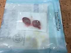 -伟伟宠物医院·CT影像中心·瑞派犬猫综合性门诊(汉口总院)
