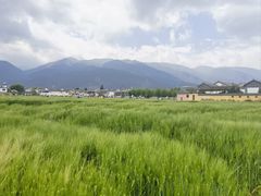 -大理洱海