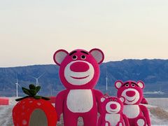 -盐湖景区