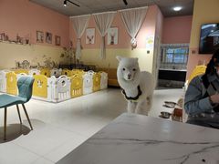 -RU DUCK柯尔鸭公社·撸鸭俱乐部·羊驼·小香猪