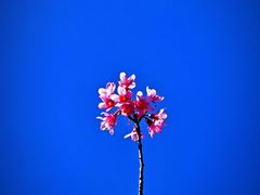 -云南师范大学(一二一西南联大校区)