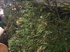 -贰醒·私房小院烧烤 (太古里店)