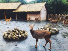 景点-金沙遗址博物馆