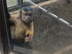 -昆明动物园