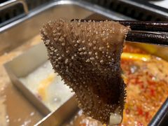-鼎膳常火锅(华阳店)