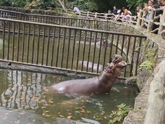 -海南热带野生动植物园