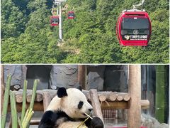 -栾川竹海野生动物园