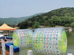 -龙寺生态园