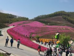 -威海华夏城景区