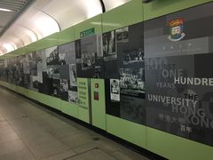 -香港大学