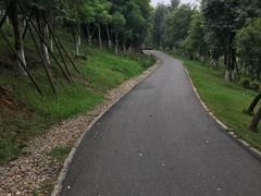 -白鹭湾湿地公园