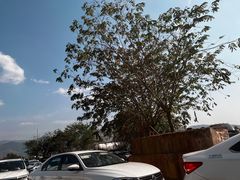 -西双版纳傣族园