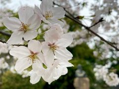 -徐家汇源景区-衡山公园