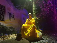 -印象普陀