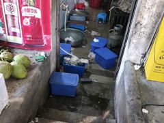 -霞姐屯昌枫木香草鸭店(海螺店)