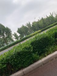 -HEYAN长风荷妍专业脱毛美肤
