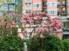 -香猪坊(五道口店)
