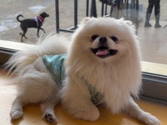 -小意思咖啡店(草桥店)