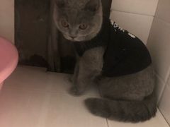 -佳怡动物医院·平价24小时·猫专科骨外科