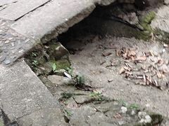 -富春桃源风景区