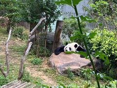 -南宁市动物园