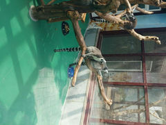 android_upload_pic-银川动物园